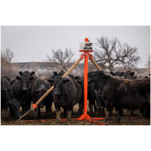 Cattle Oilers